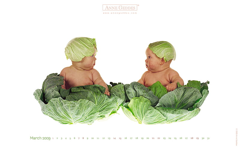 Cabbages, children, annegeddes, sweet, HD wallpaper