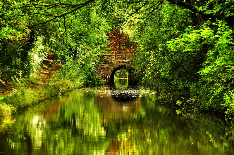 Reflection-R, pretty, grass, bonito, graphy, nice, bridge, green, path, beauty, tunnel, river, reflection, harmony, forest, lovely, relax, spring, park, trees, lake, pleasantly, water, cool, r, nature, walk, HD wallpaper
