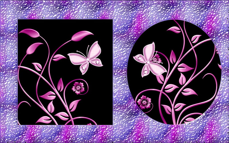 Double Framed Flowers, coral, purple, pink, flowers, black, blue, HD wallpaper