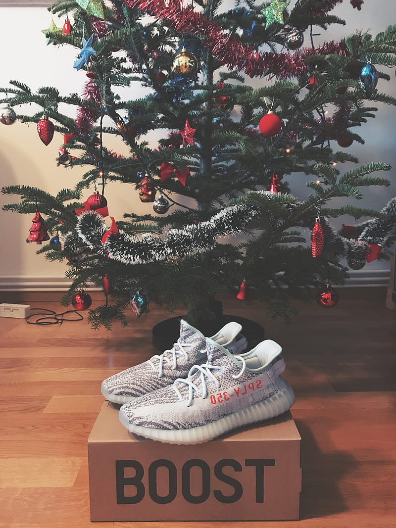 white-and-gray Adidas Yeezy Boost 350 V2 shoes with box, HD phone wallpaper