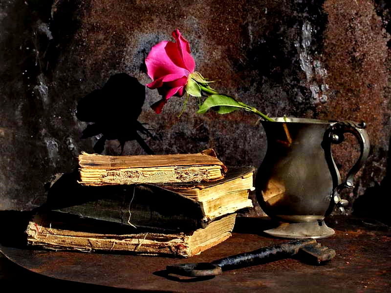 Solitary Beauty, pink rose, still life, silver pitcher, books, rose, flower, key, HD wallpaper