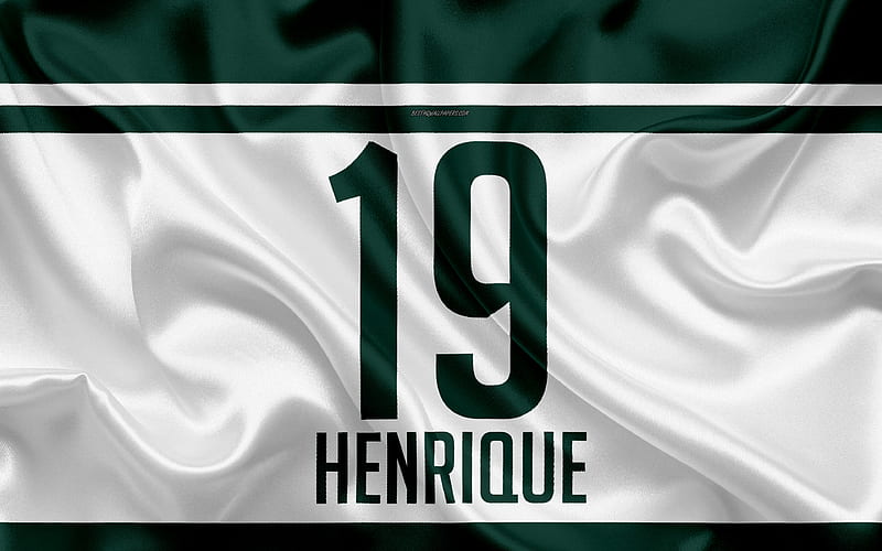 Bruno Henrique, T-shirt, Palmeiras, 19th number, Eduardo Pereira Rodrigues, Serie A, Sao Paulo, Brazil, football, Sociedade Esportiva Palmeiras, Henrique, HD wallpaper