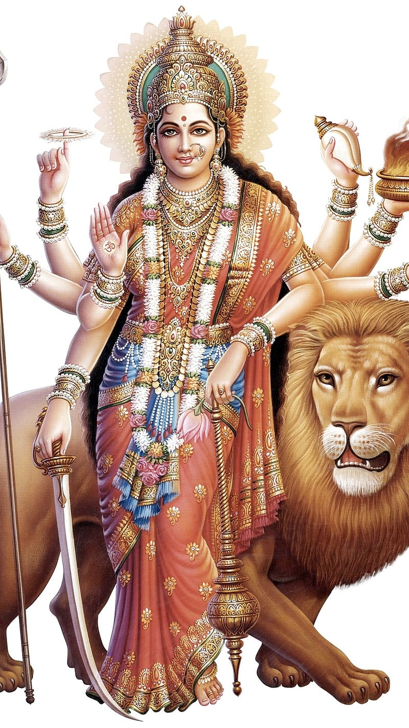 Maa Durga Ki .Jai Mata Ji, maa durga ki , matarani, durga, devi, lord, god, HD phone wallpaper