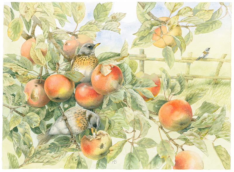 painting, pasari, pictura, apple, red, art, fruit, bird, bastin marjolein, sea, green, HD wallpaper