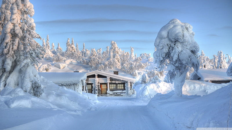 Heavy Snow Cabin, snowy cabin, cabin in the woods, winter cabin, log cabin, snow cabin, heravy snow, HD wallpaper