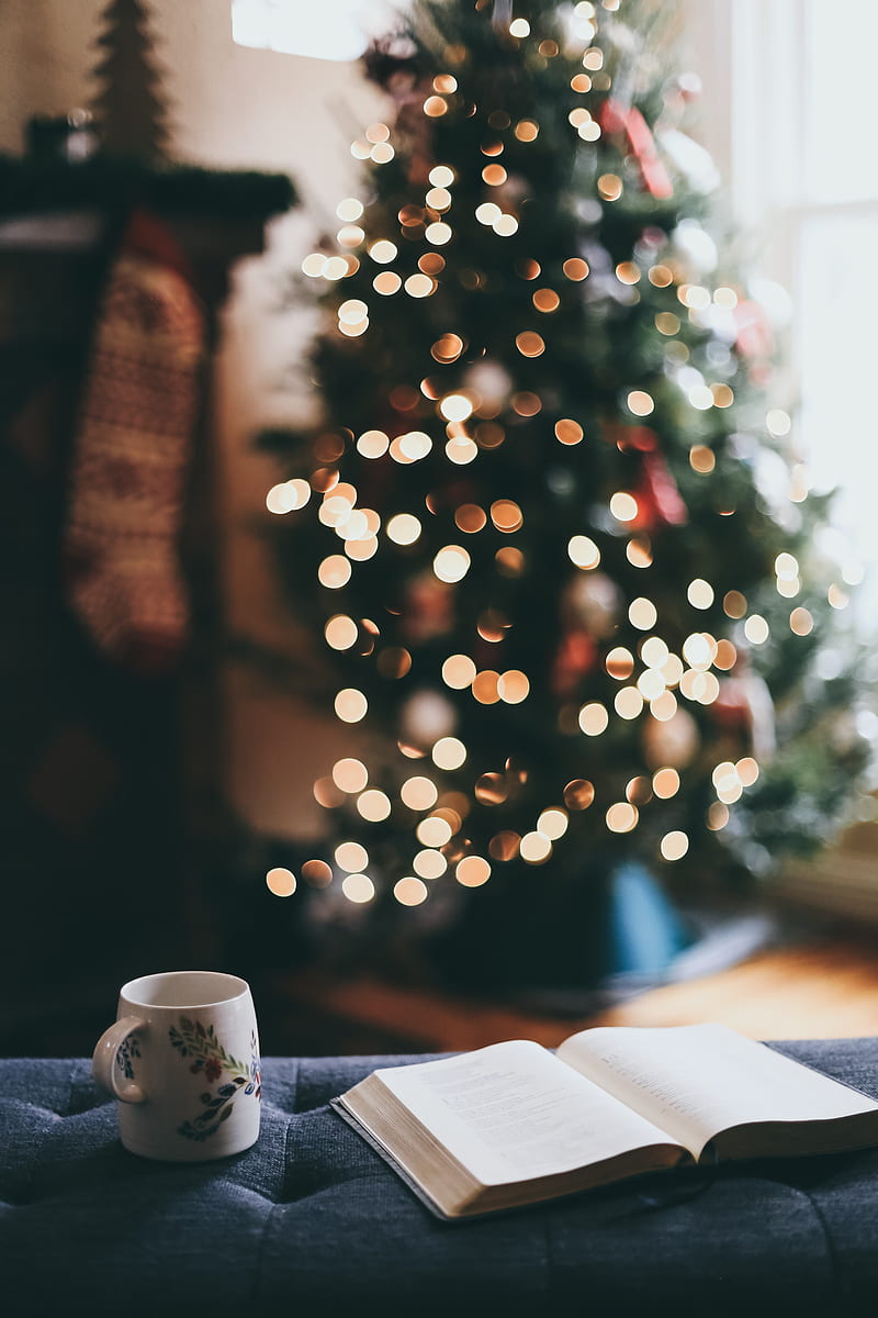 book, mug, tree, holiday, rest, HD phone wallpaper