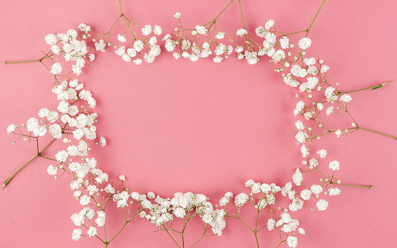 flower frame, pink background, white spring flowers, spring frame, HD wallpaper