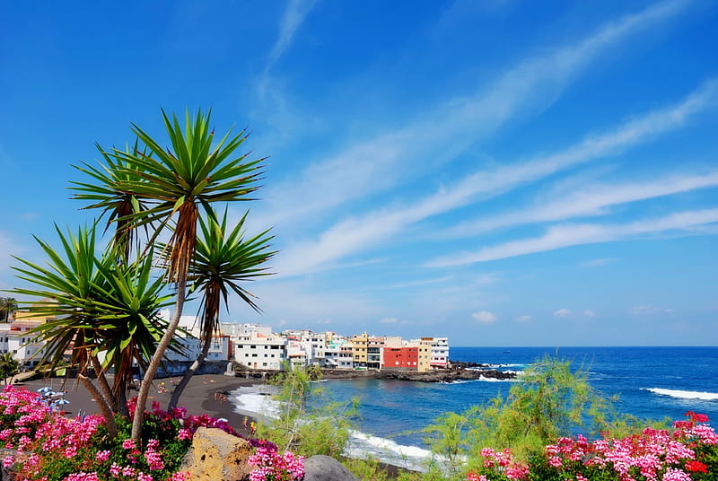 Tenerife, resort, rest, vacation, exotic, travel, town, sky, Spain, palms, sea, beach, paradise, summer, coast, HD wallpaper