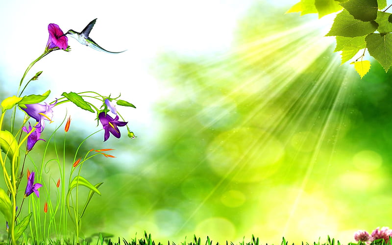 Green Nature, Art, Flowers, Sunlight, Birds, HD wallpaper | Peakpx