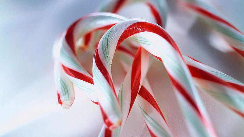 Candy Canes In White Background Candy Cane, HD wallpaper