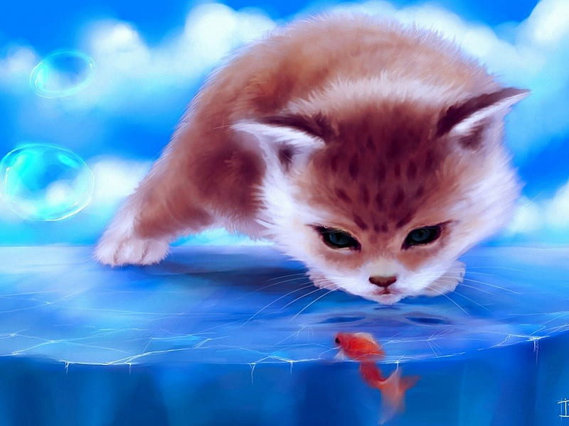 Cute cat, 3d, fish, funny, cat, animals, HD wallpaper | Peakpx