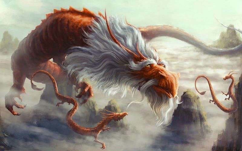 art, fantasy, old dragon, HD wallpaper