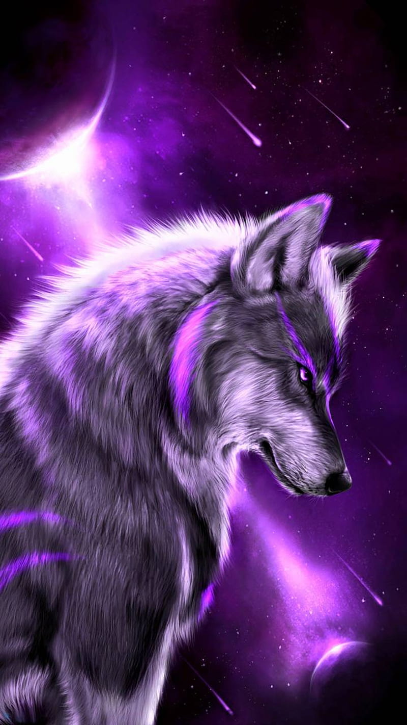 Purple cosmic wolf, lone, wolf, HD phone wallpaper