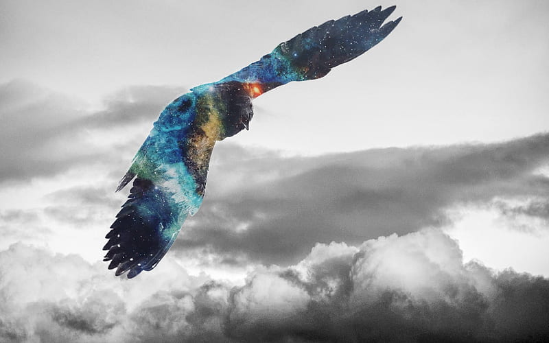 águila real volando galaxia salto, águila real, águila, pájaros, grafía,  cielo, Fondo de pantalla HD | Peakpx