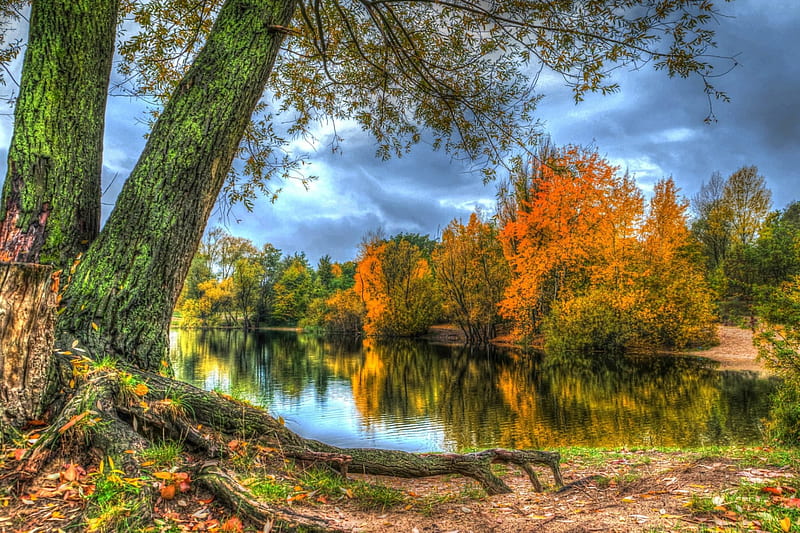 Autumn lake, fall, autumn, tree, water, colors, lake, HD wallpaper | Peakpx