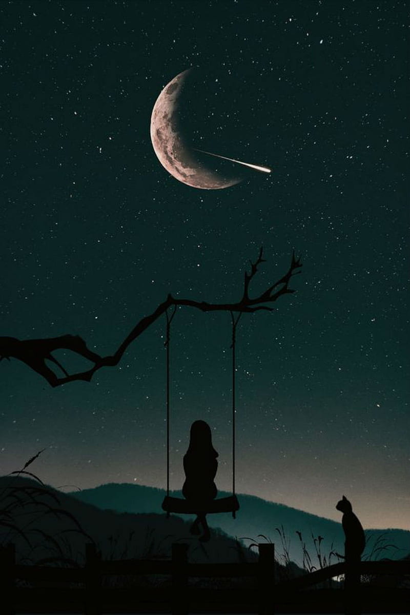 Midnight swing, girl, swing, cat, silhouette, crescent, comet, sky, night, starry, dark, HD phone wallpaper
