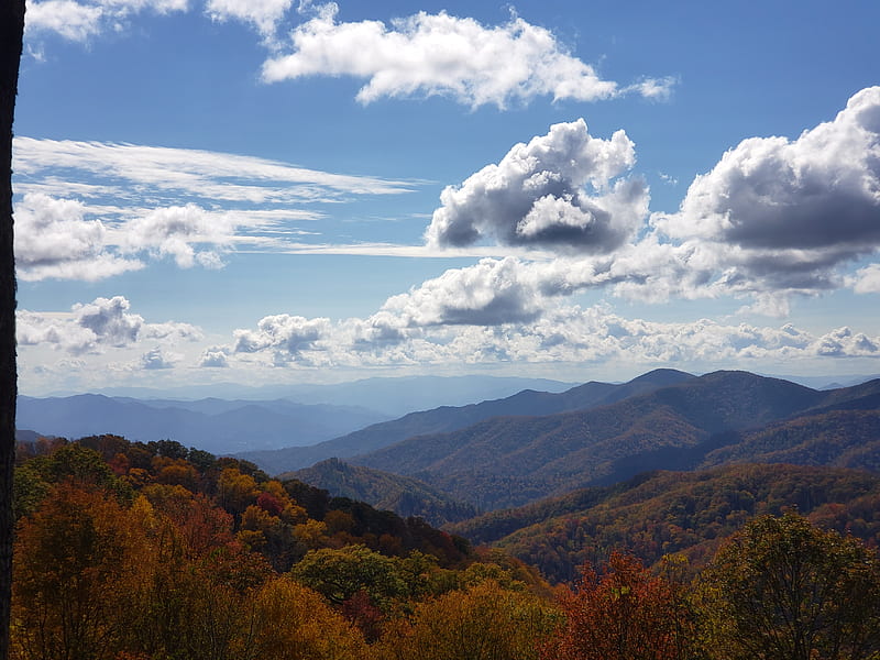 Fall mountain view, fall, mountain, skyview, smokey mountains, HD wallpaper