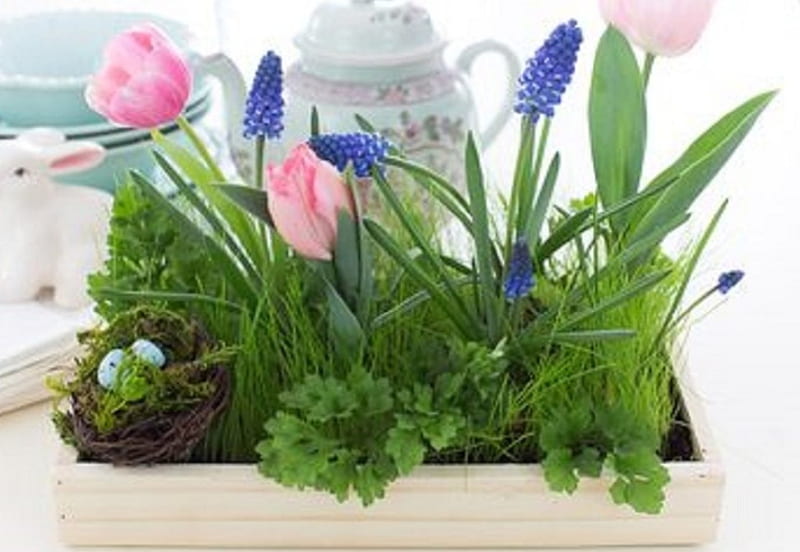 Easter Tea Time, Easter, still life, tea time, flowers, abstract, HD