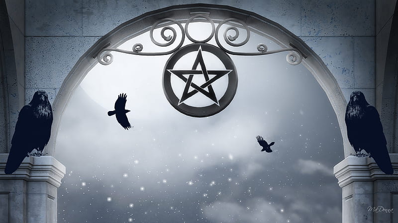 Pentagram and Ravens, mystical, self help, death, black magicians, die, firefox persona, sky, new age, mist, ravens, astrology, fantasy, bird, alternative belief systems such a figure used as a magical or sy, HD wallpaper