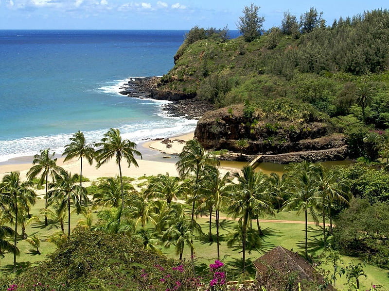 tengerpart-kauai-hawaii, kauai, tengerpart, hawaii, palma, HD wallpaper