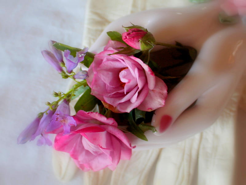 HANDFUL OF SWEETNESS, hands, flowers, rose bud, mannequin, violet, roses, pink, HD wallpaper