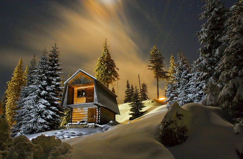 Winter, Night, Snow, Tree, House, Cabin, HD wallpaper