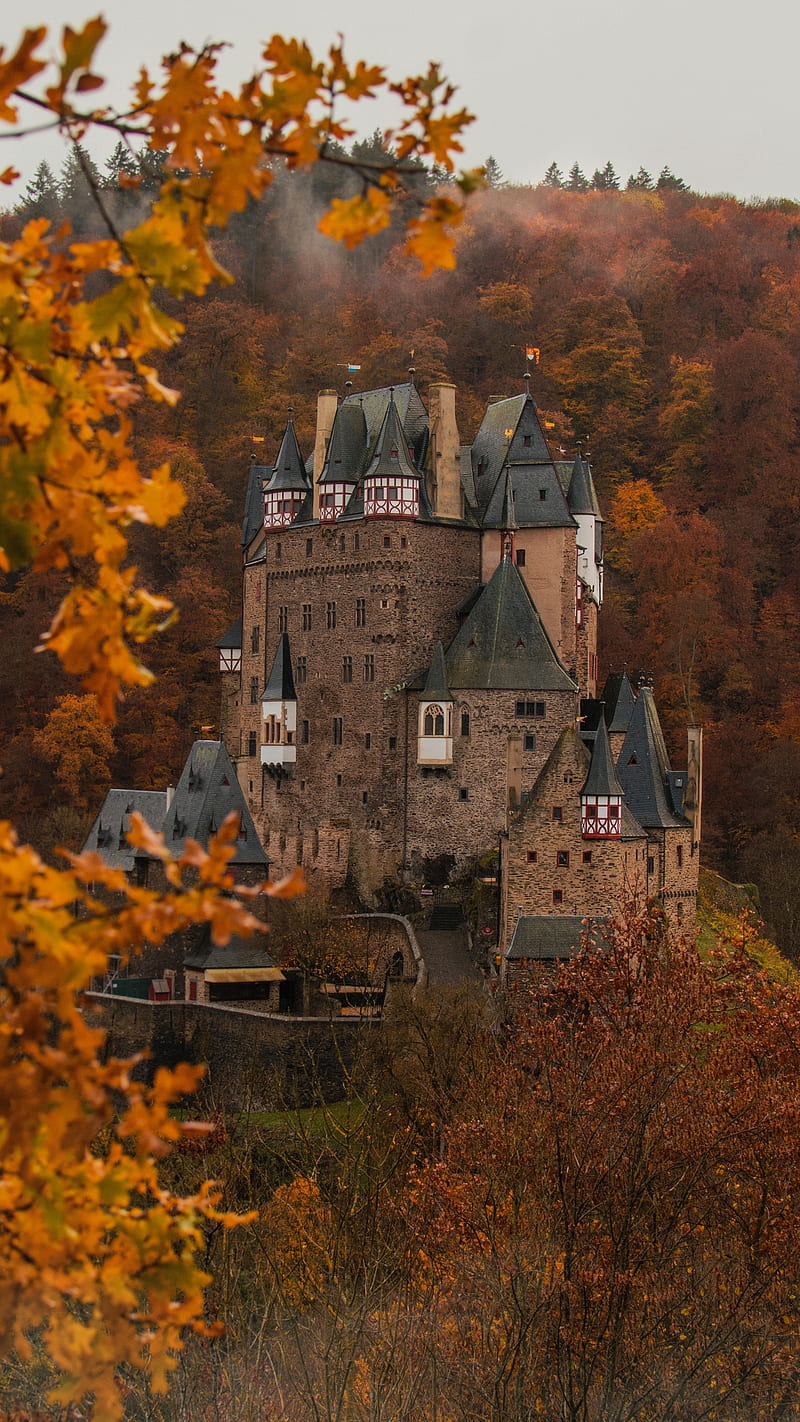 Brown Castle , leaves, branches, germany, architecture, autumn, building, HD phone wallpaper