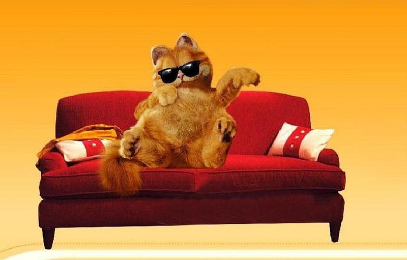 Garfield, sunglasses, cool, lounging, couch, cat, HD wallpaper