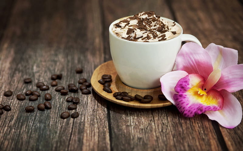 Coffee, delicious, chocolate, flower, drink, cream, HD wallpaper