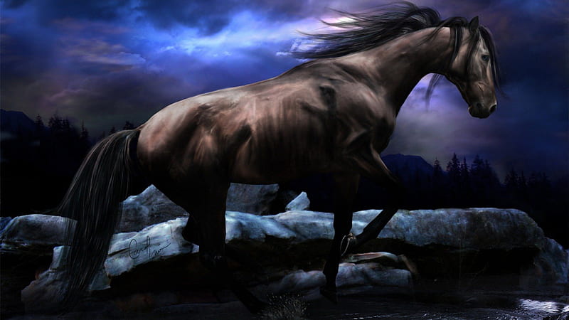 Horsey Hills, hills, fantasy, black horse, nature, animals, horses, HD wallpaper