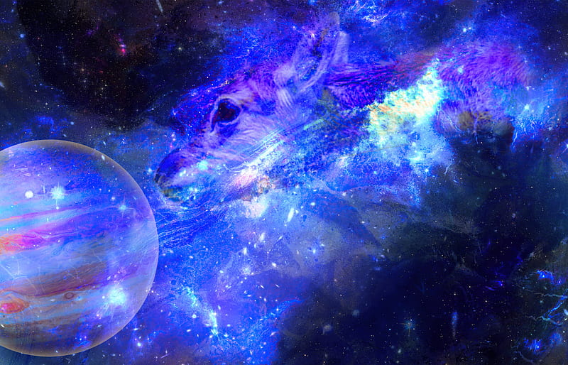 Galaxy Deer Resolution , , Background, and, HD wallpaper