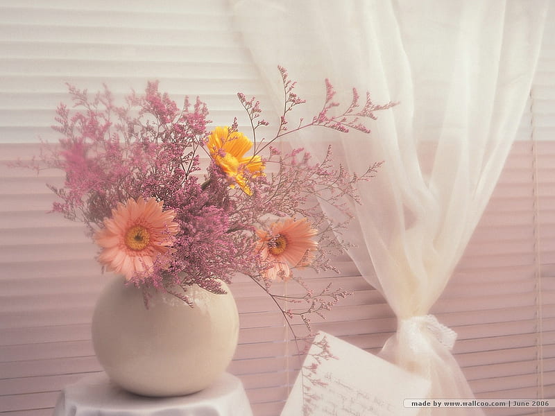 still life 1, table, art , little, vase, still life, nice, gerbera, flowers, white, HD wallpaper