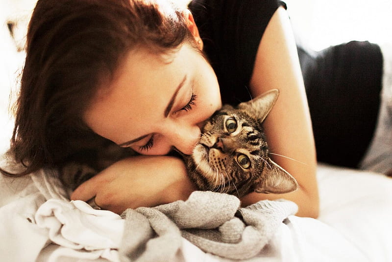 VERY LUCKY CAT, nice, cool, love, hot, kiss, animal, HD wallpaper