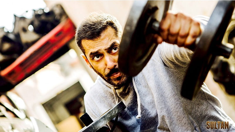 HD wallpaper: Sultan Movie Stills Salman Khan, Movies, Bollywood Movies,  2016 | Wallpaper Flare