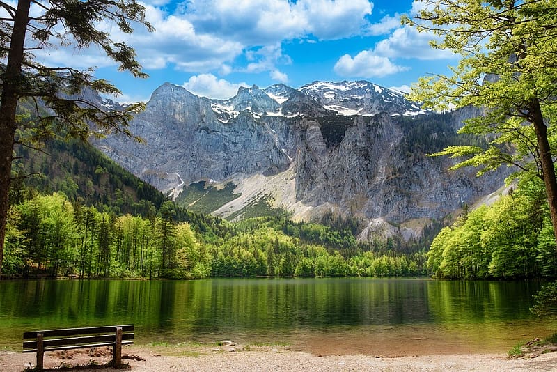 Bergsee Lake, hegyvideki, pad a szabadban, termeszet, hegyvonulatok, fak, alpok, hegyek, tavak, hegyi taj, Bergsee, HD wallpaper