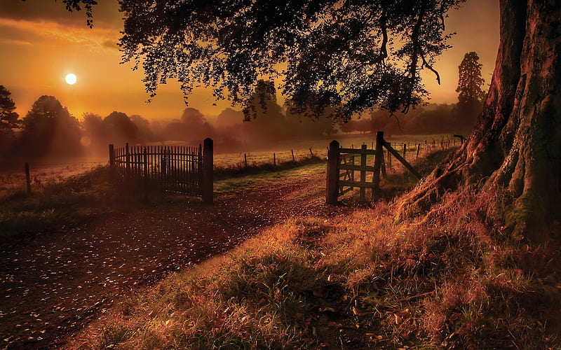 Old road gate-Beautiful natural landscape, HD wallpaper | Peakpx