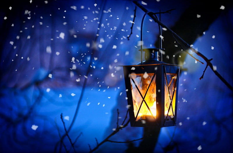 Winter light, lantern, christmas, bonito, park, winter, cold, tree, serenity, snow, snowflakes, snowfall, evening, frozen, light, night, frost, HD wallpaper