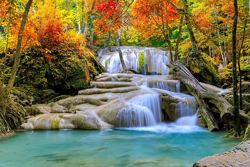 Forest water cascades in autumn, fall, colors, cascades, trees, autumn ...