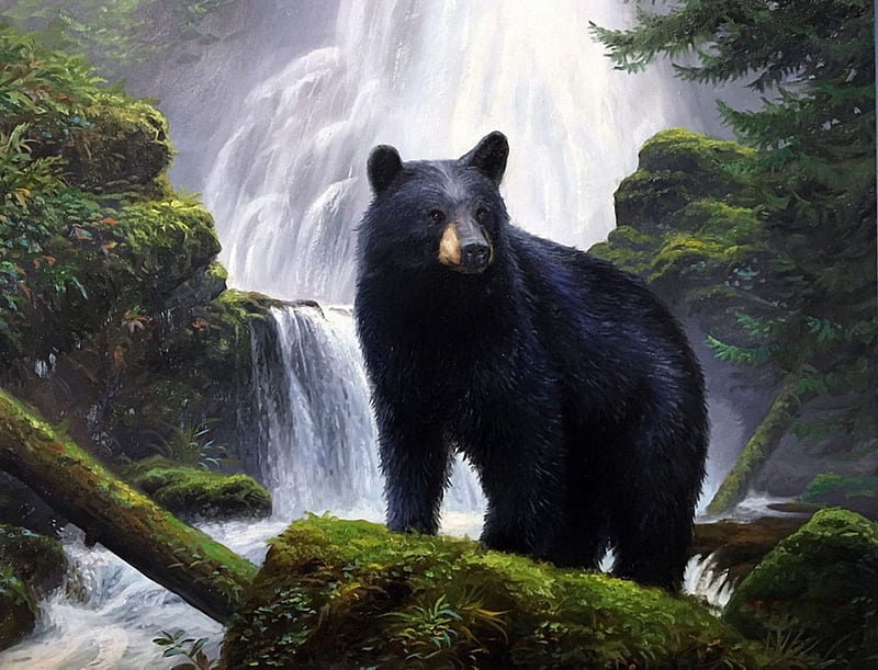 Bear by the Waterfall, animal, bear, waterfall, black, painting, nature, HD wallpaper