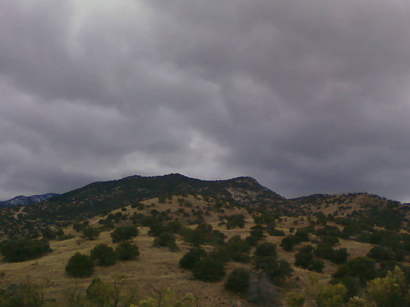 Dark Clouds Looming, gray sky, desert, trees, clouds, HD wallpaper