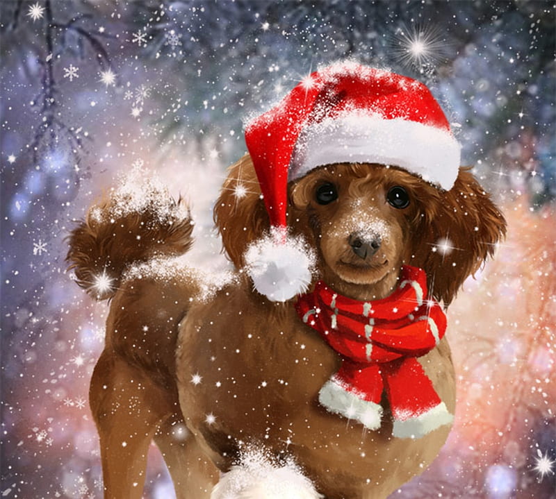 Merry Christmas!, lorri kajenna, luminos, craciun, christmas, caine, arto, animal, hat, cute, santa, fantasy, puddle, scarf, puppy, dog, HD wallpaper