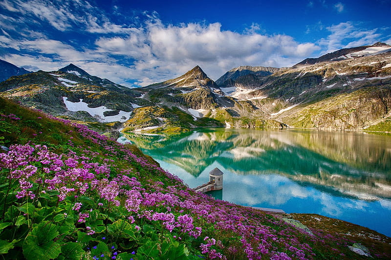 Austrian Alps, Austria, serenity, wildflowers, bonito, reflection, lake ...