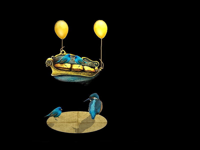 :), balloon, bird, pasari, yellow, black, jacub gagnon, blue, art, kingfisher, sofa, HD wallpaper