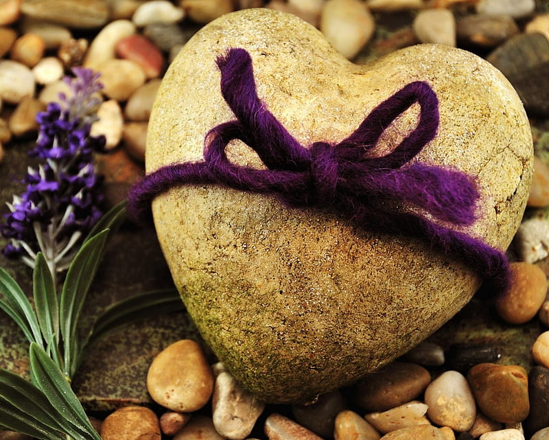 HD-wallpaper-love-stone-heart-lilac-pebbles.jpg