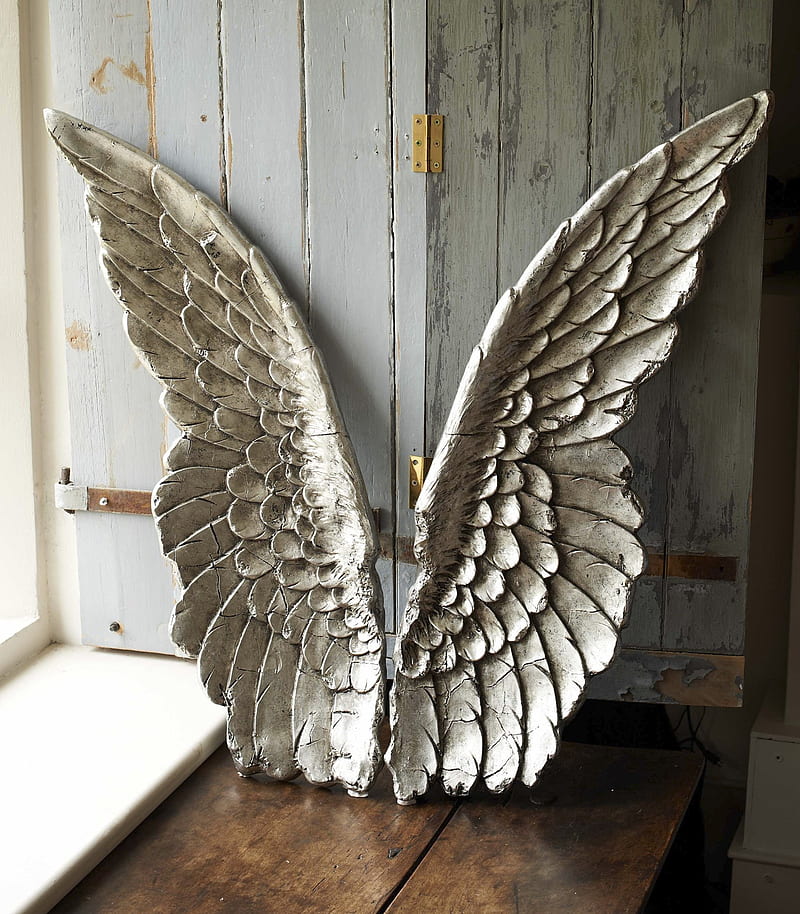 wings, window sill, indoors, wood, HD phone wallpaper
