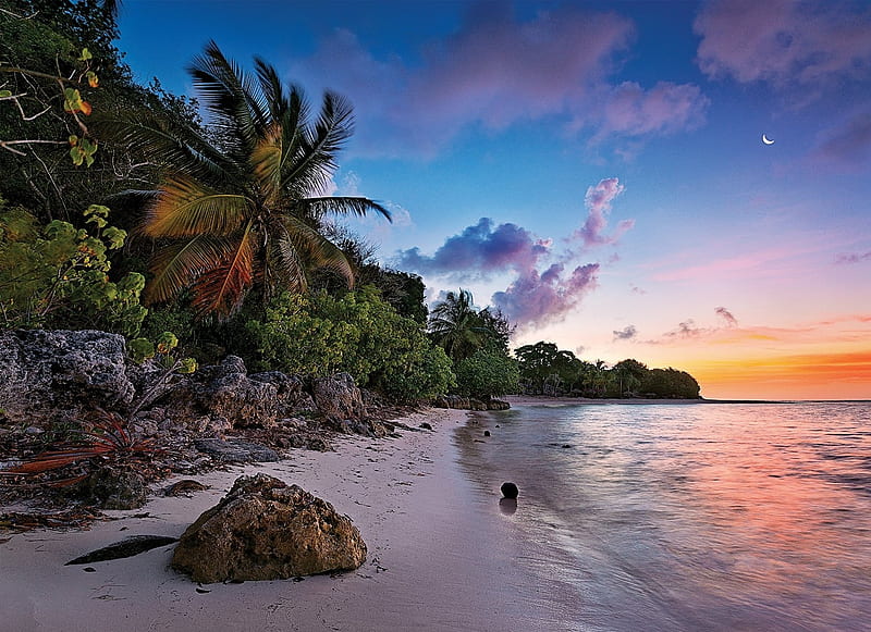 Idyllic Tropical Beach, rocks, sunset, sky, coast, palm tree, HD wallpaper