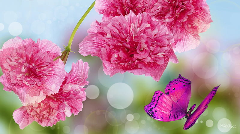 Loving Bright Flowers, fall, flowers, autumn, fun, spring, happy, bokeh,  butterfly, HD wallpaper | Peakpx