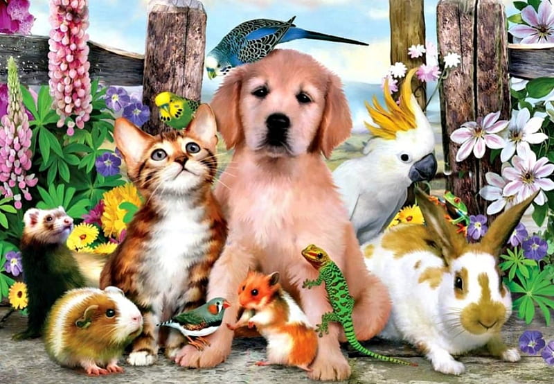 Good Companions, fence, budgies, rabbit, lizzard, hamster, birds, spring, cat, frog, guinea pig, flowers, bunny, dog, ferret, HD wallpaper