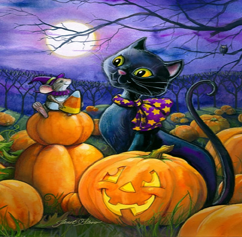 ★Halloween Fun★, pretty, autumn, holidays, rats, bonito, paintings, friends, fall season, lovely, colors, love four seasons, fun, creative pre-made, halloweens, weird things people wear, nature, cats, HD wallpaper