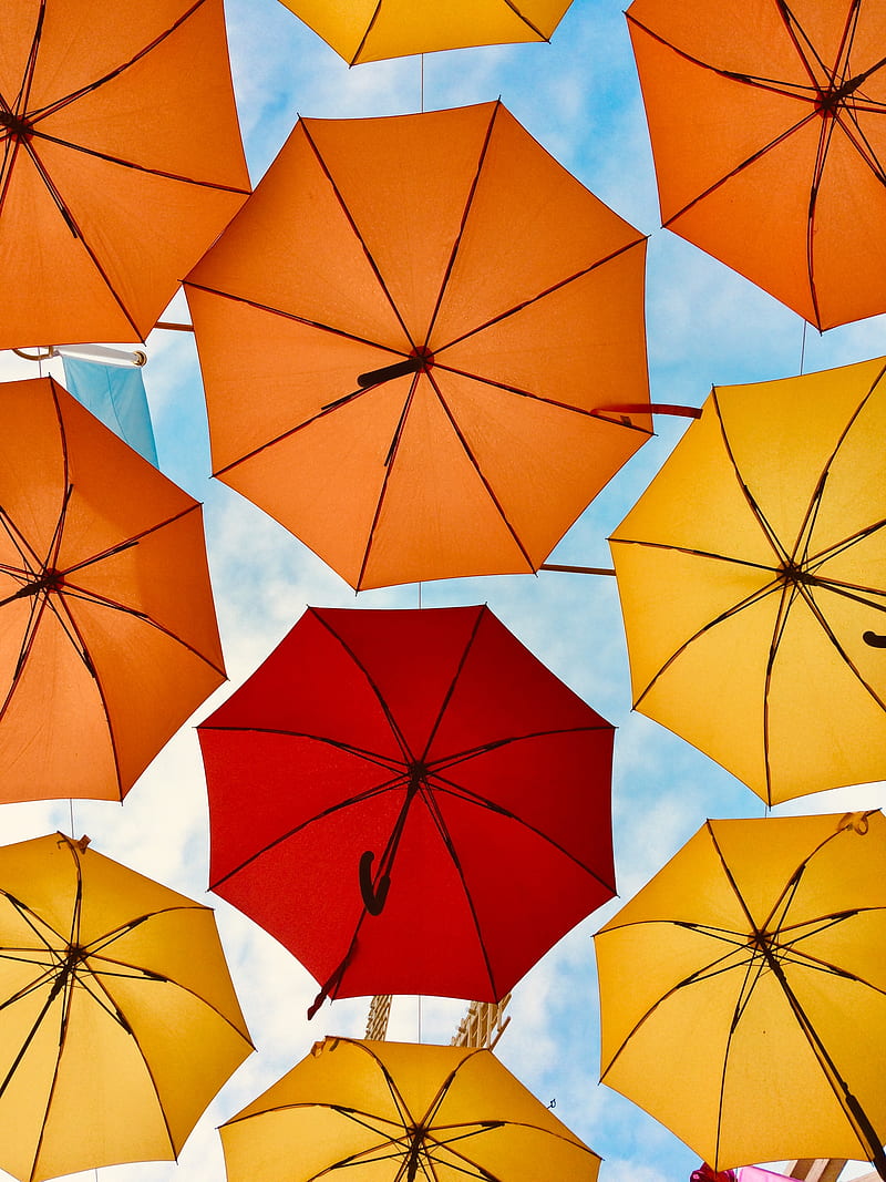 Low-Angle of Umbrellas, HD phone wallpaper